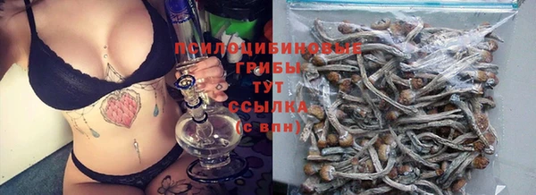 соль ск Балахна